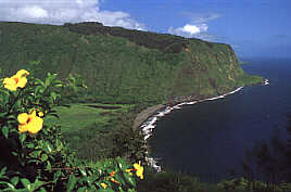 Waipio Valley - ein Traum in grn