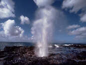 Spouting Horn